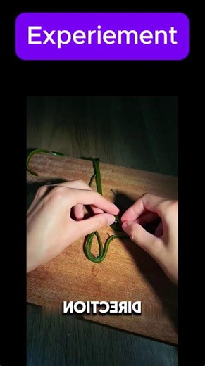 Experiement part 3 | Easy Science Lessons