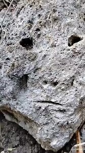 2K reactions · 62 shares | SIGN NG YAMASHITA TREASURE ITO!!! | Yussop Yamato | Facebook