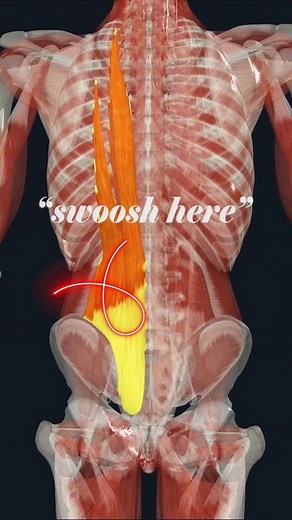 This swoosh… delicious!! It’s how I create flow and join two massage techniques together. I use this movement to complete the downstroke - widening out at the hips and then using the swoosh to create an elegant transition back to the start again. It feels really nice and you can choose to be heavy without causing pain. | Melt: Massage for Couples