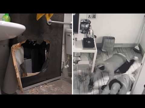 Brazen jewelry store break-in caught on video in Sherman Oaks