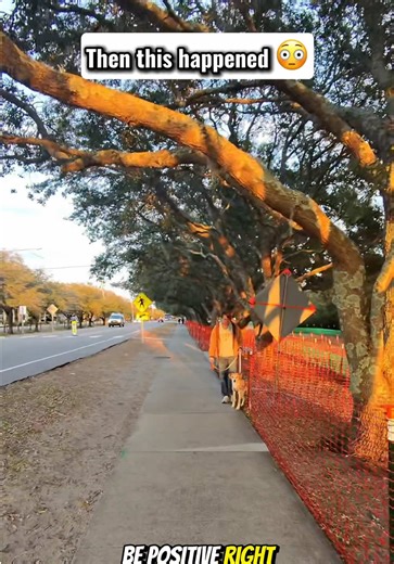 Normalize giving men their flowers while they’re still here❤️‍🔥 #joybait #socialexperiment #FaithInHumanity #KindnessMatters #PositiveShenanigansOnly