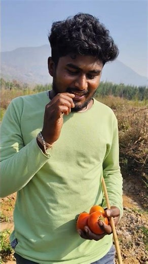 My brother-in-law is stealing tomatoes from our garden