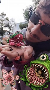 Prefiero profesar la autoaceptación que buscar la aprobación de los demás. 🪄❤️‍🔥 Ahora una planta carnívora mutante 💚🌱🪄 #artecallejero #hechoanano #arttoy | Caballografo Karlo