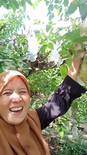 star fruit amazing farn at familyr#singapore #indonesia #travel #foodie #views