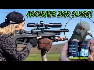 21GR | 22 CAL | Pigeon Hunting | FX Wildcat MKIII Compact | FX Impact M3 | Airgun Pest Control