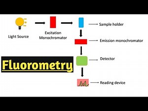 Fluorometry/Fluorescence/Spectroflurometry/Fluorimetry