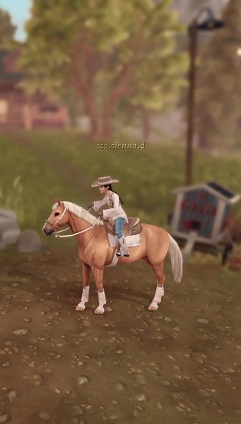 Belgian Warmblood Animation Bug Still Present in Star Stable Online