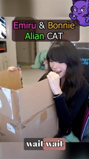 Emiru & Bonnie Alian CAT #emiru #bonnierabbit #twitch #twitchclips #emiruclips