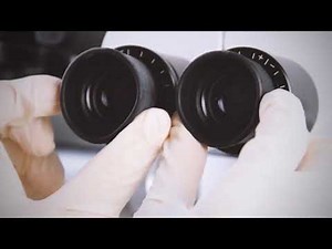 Coxo Dental Microscope - C Clear 2