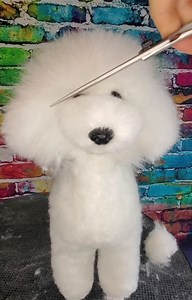 I had a leftover @opawz model dog that was practiced on by another groomer. Here's a 11 min video of me hand scissoring with #freshshears (link in bio) enjoy! @freshgroom | Christie Henriksen, NCMG