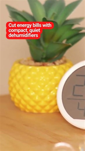 Energy-Efficient Compact Dehumidifier Tips
