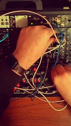 space jam - Moog Subharmonicon && Mutable Rings #synth #jam #live