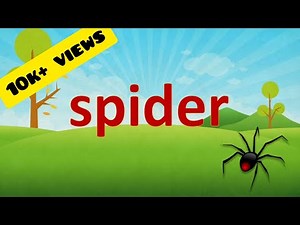 Learn to read Six letter words with pictures | spell and read #sightwords | Jay and Jezz