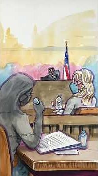 Elizabeth Holmes Explained | Fraud Conviction & Sentencing Breakdown