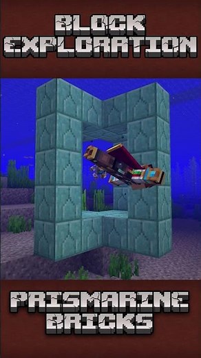 BEST OCEAN BLOCK (Prismarine) #blockexploration #minecraftwiki #minecraftbuilding