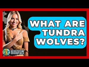 What Are Tundra Wolves? - Ecosystem Essentials