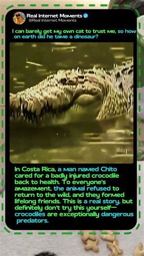 Man Befriends a GIANT Deadly Crocodile! 🐊 #Wildlife #Nature #CrazyStory