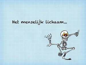 Het menselijk lichaam