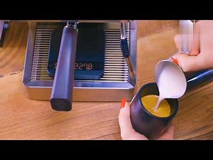 ☕ Lelit Victoria PL91T Review (2025)– Best Espresso Machine for Home?|Best Coffee Maker with Grinder