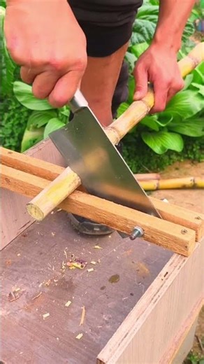 practical tool for cutting sugar cane