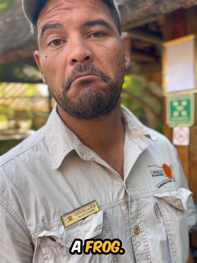 In honour of students heading back to school today, we put the Cango Wildlife team to the ultimate test. Are they smarter than a 5th grader? From quick fire questions to very unexpected answers, this challenge proves that even wildlife pros can be put on the spot. To all the learners starting a new school year, we wish you a year filled with curiosity, confidence, and big achievements. CONSERVE. CARE. CONNECT. #CangoWildlife #WildlifeHumour #BehindTheScenes #StaffChallenge #fyp