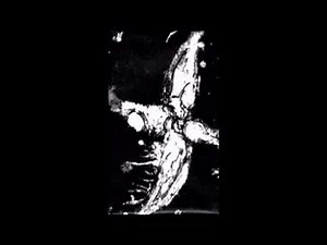 Antediluvian - Logos (2013) Full Album