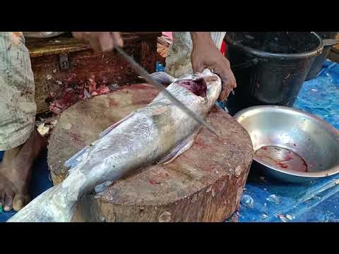 Fastest Giant Catfish Cutter in the World? | Amazing Seafood Processing Skills 🐟🔪