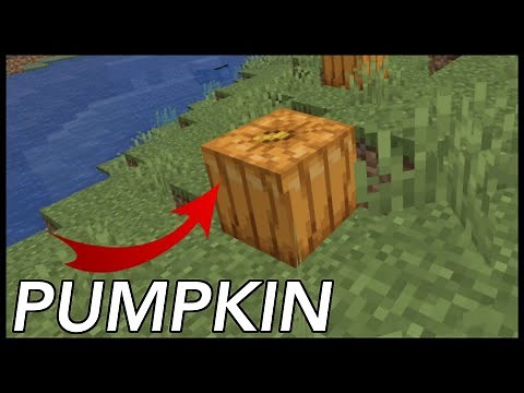 How To Get Pumpkins In Minecraft