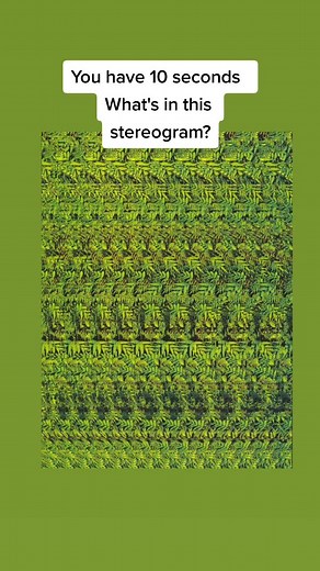 #mr_stereogram #stereogram #stereograms