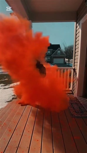 Thief Steals a Box — Paint Explosion Prank! #prank#paintprank#thief#packagetheft