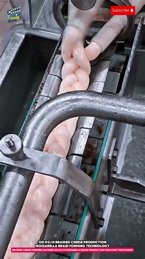 Braided Cheese Forming Machine 120 kg/h Mozzarella Braid Production for Dairy Processing