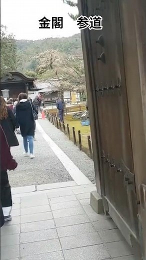 いよいよ金閣寺の総門をくぐるで！参道を抜けた先にある圧倒的な景色。京都・鹿苑寺の参道さんぽ / Kinkaku-ji Temple, Kyoto. #京都 #金閣寺 #参道 #shorts