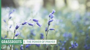 The power of prayer