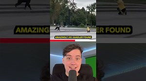 How a monkey once escaped from a Ukrainian zoo enclosure