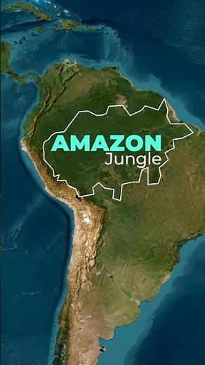 Mystery of Amazon Jungle.💀 #amazon