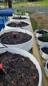 137 reactions · 14 shares | How to set-up a cheap irrigation system for your farm in 2026.  #agriculture #irrigation #farming | Rifi Farms | Facebook