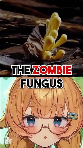 THIS FUNGI Turns INSECTS Into ZOMBIES?!
