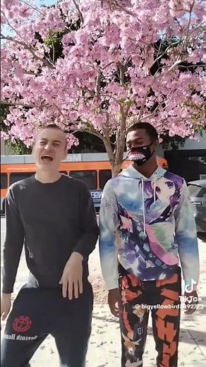 Haskell and Owen new TikTok dance trend😂😂 #shorts #dance #memes #tiktok