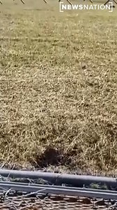 5.3K views · 46 reactions | Authorities are still searching for the four Georgia inmates who escaped from the Bibb County Detention Center through a hole in the wall. MORE: https://trib.al/HxDErDr | NewsNation | Facebook