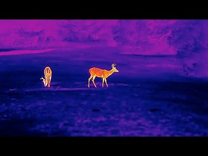 1280 Thermal is HERE!!