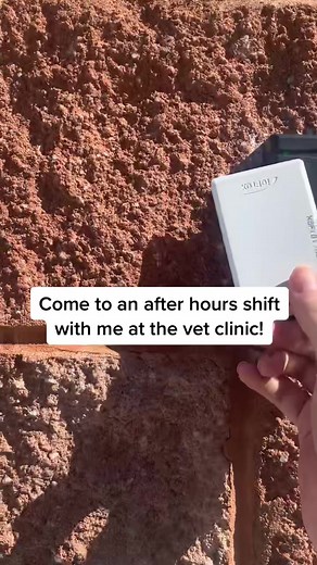 Hannah Bentley, LVT on TikTok