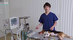 体温計のつけ方