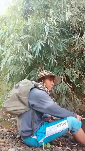 CATCHING FISH FOR OUR RESCUED GRASS OWL 🐠🦉 3 rescued baby Owl in the Sugarcane field | Wildlife Rescue 🦉🌿🌳🌾 #rescuebird #owl #babyowl #wildliferescue #birdkeeping #FISHING | Deric Fernandez