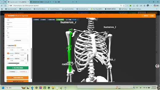 使用免费工具快速在OpenSim模型上建立肌肉和韧带