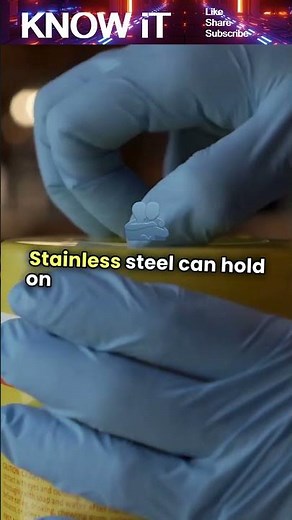 10 Curious Facts About Fomites | KNOW iT