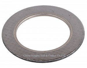 [Hot Item] Flat Graphite Gasket ASME Standard
