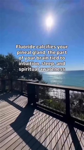 Greg | Holistic Nutrition & Detox Coach on Instagram: "They told us fluoride was for our teeth… but they left out the part where it poisons your brain 🧠⚠️ Fluoride is classified as a neurotoxin - yet it’s deliberately added to tap water, toothpaste, and even infant formula in many regions. Here’s what they don’t disclose: 🟢 It accumulates in bones and tissues 🟢 It interferes with thyroid hormone production 🟢 It penetrates the blood-brain barrier 🟢 Most concerning - it causes calcification o