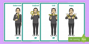 British Sign Language (BSL) Emotions and Feelings Display Posters