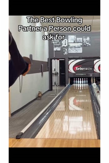 The dog was a paid actor (Insta: aanderson300) #fyp #foryoupage #trending #bowling #bowlingtiktok #AXERatioChallenge