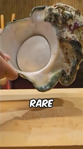 Why Chefs Have Seconds to Remove This Rare Sea Snail 🐚🤯
